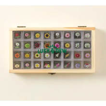 Product image of Endless Bouquets Gardener’s Seed Bank Set